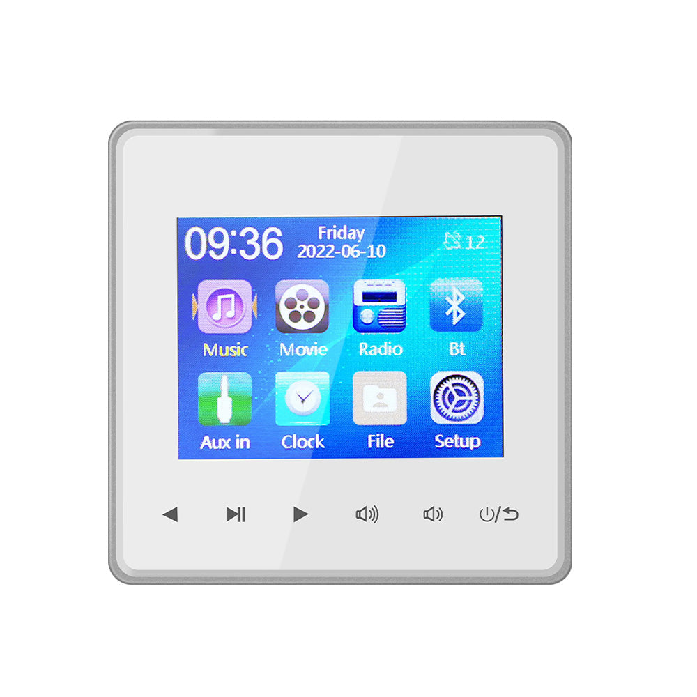 Premium Mini Bluetooth Speaker Amplifier HD Display Stereo Sound System FM AUX Wireless Audio Center