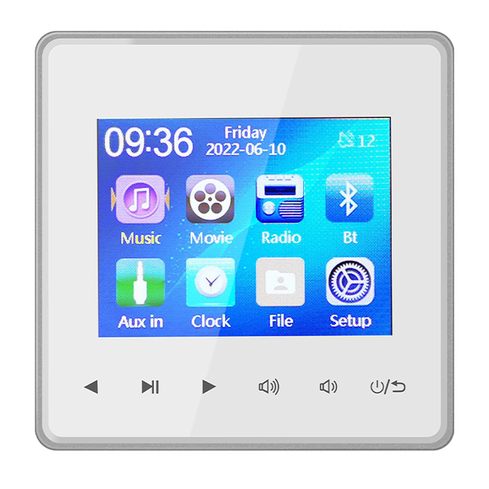 Premium Mini Bluetooth Speaker Amplifier HD Display Stereo Sound System FM AUX Wireless Audio Center